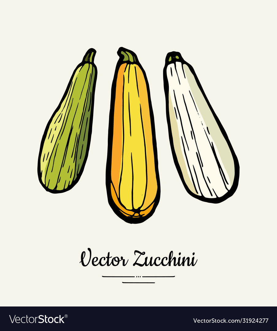 Zucchini Hand gezogen Hipster