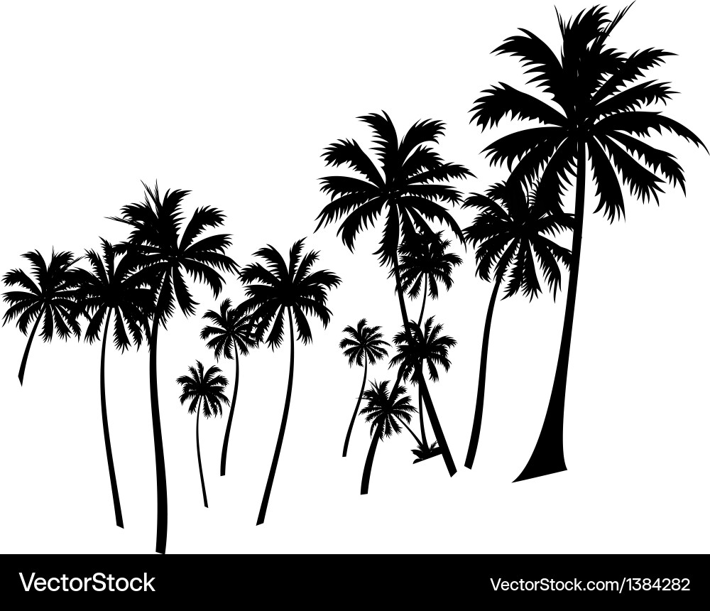 Icon palm tree Royalty Free Vector Image - VectorStock