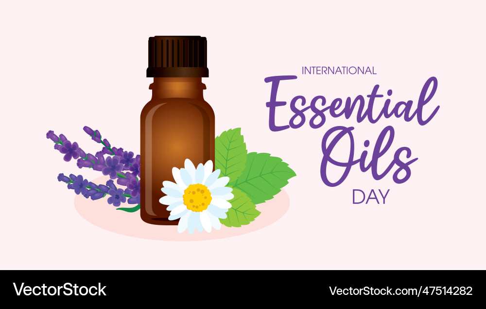 International essential oils day poster Royalty Free Vector