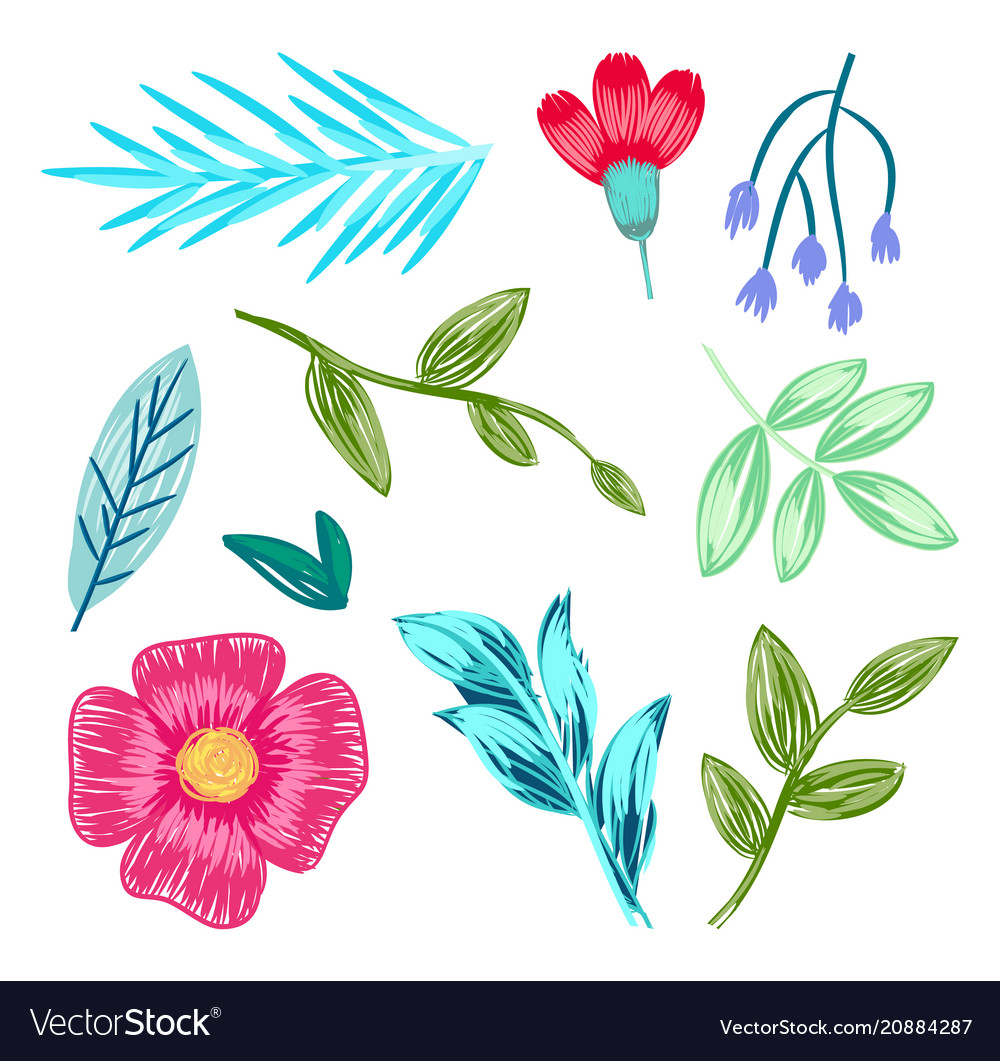 Collection Flowers Leaves Royalty Free Vector Image