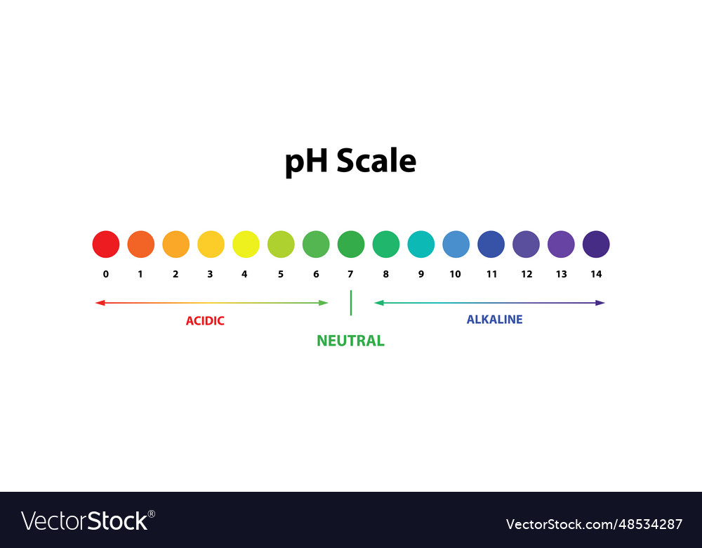 Ph scale chart indicator diagram value Royalty Free Vector