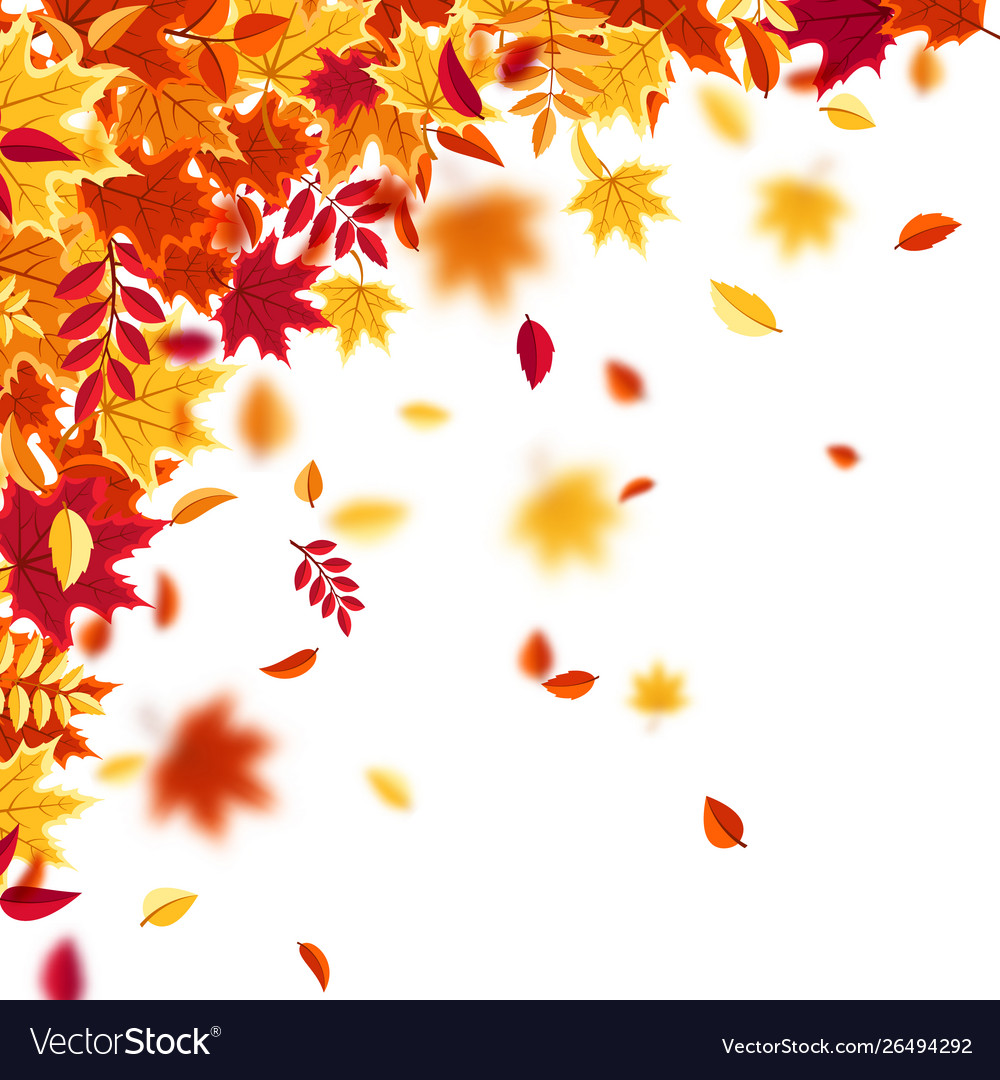 Autumn falling leaves nature background with red Vector Image