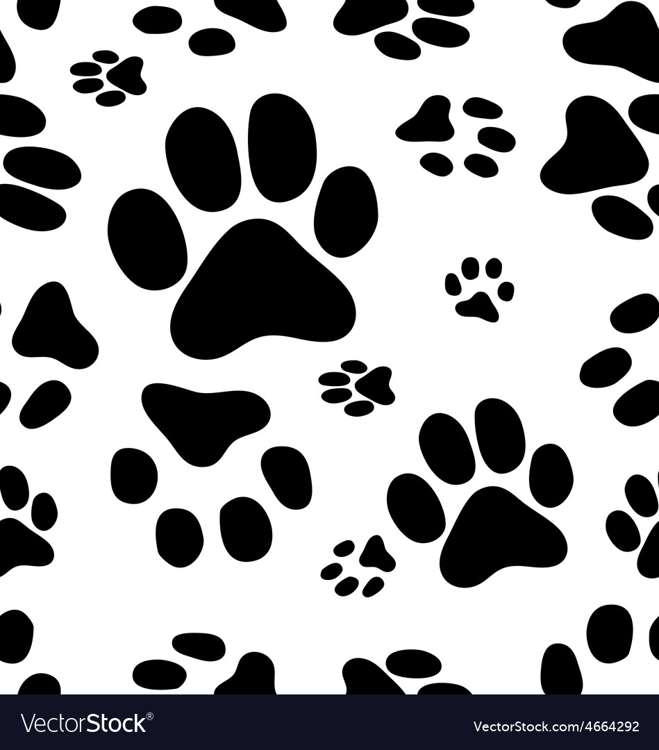 Trace of cats Royalty Free Vector Image - VectorStock