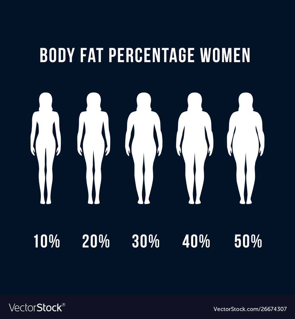 Body Fat Percentage Woman Designs Concept Vector Image