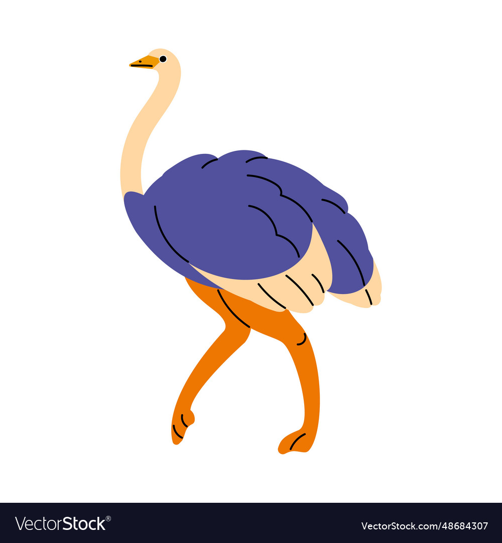 Wild african animal big bird with strong legs