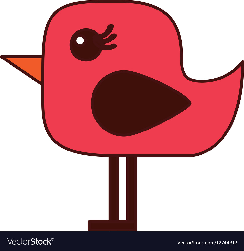 Cute bird isolated icon