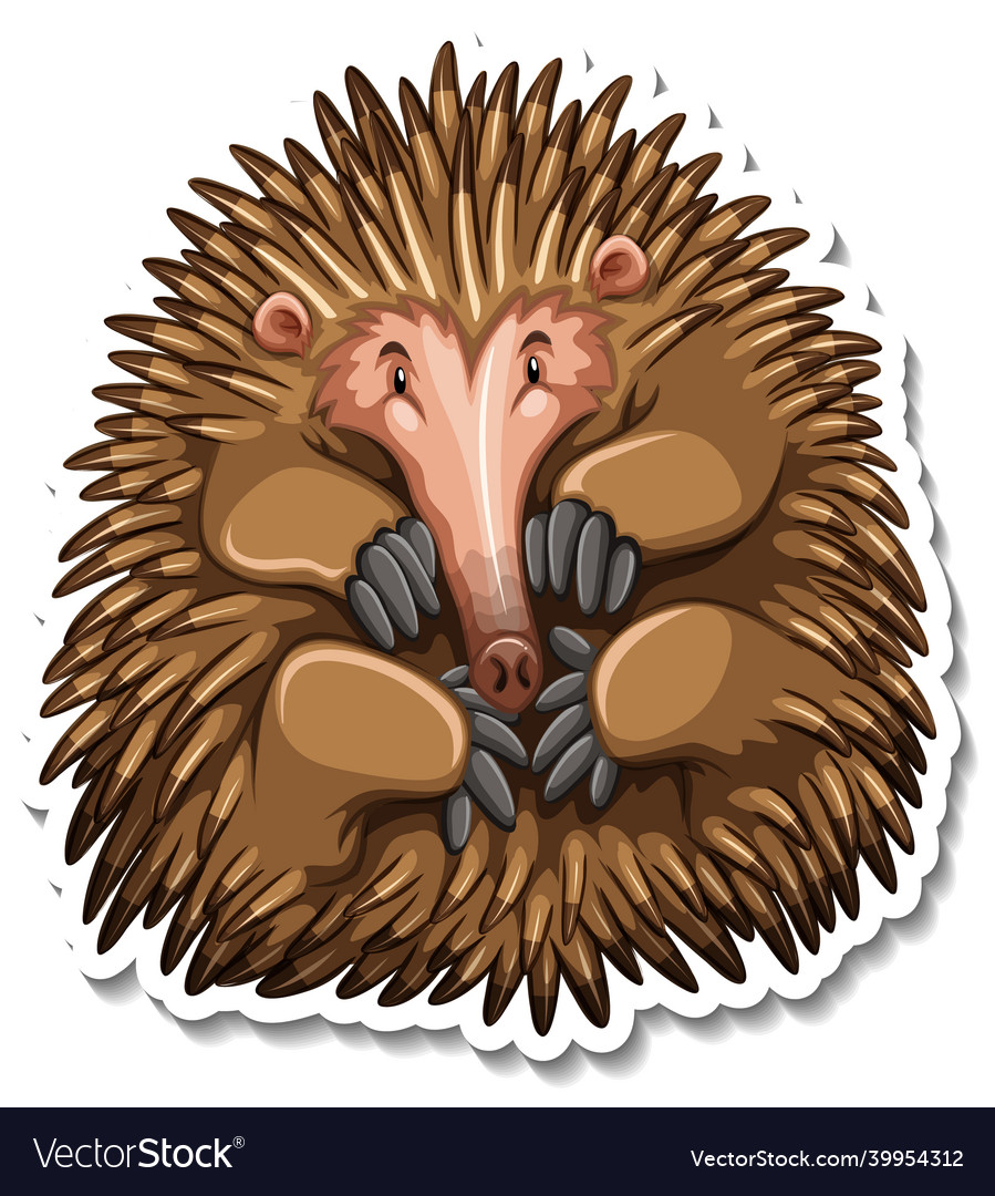 Echidna cartoon character on white background