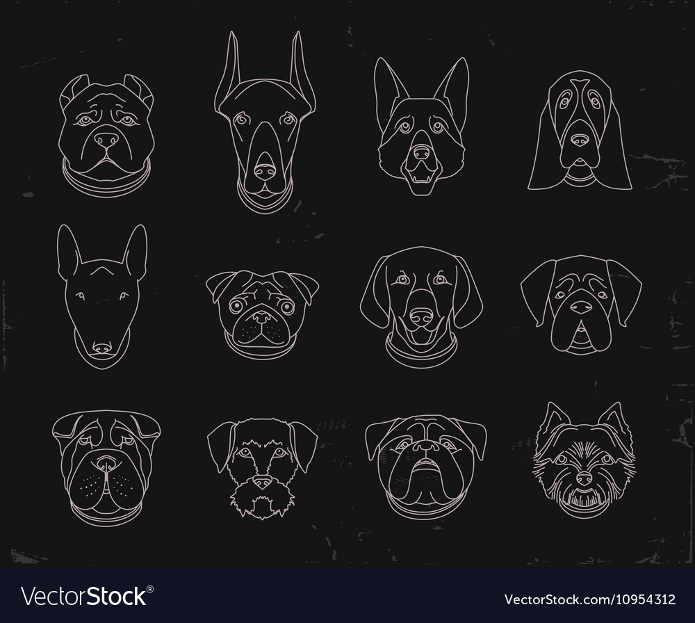 Popular breeds of dogs 12 linear icons isolated