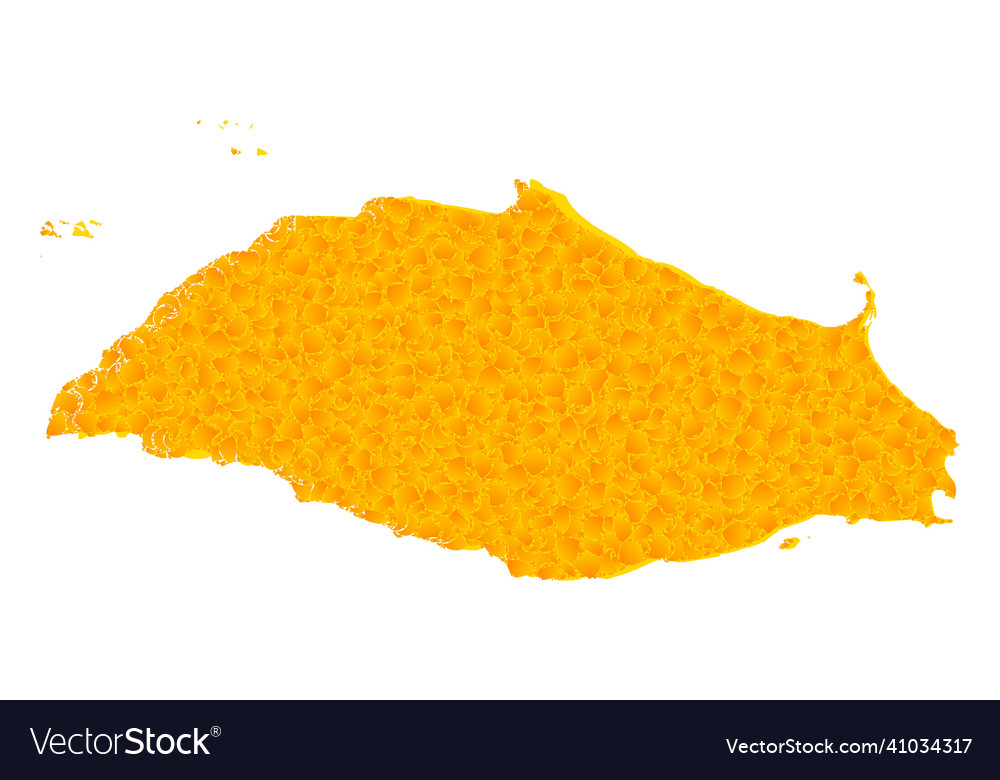 Gold map of isla la tortuga Royalty Free Vector Image