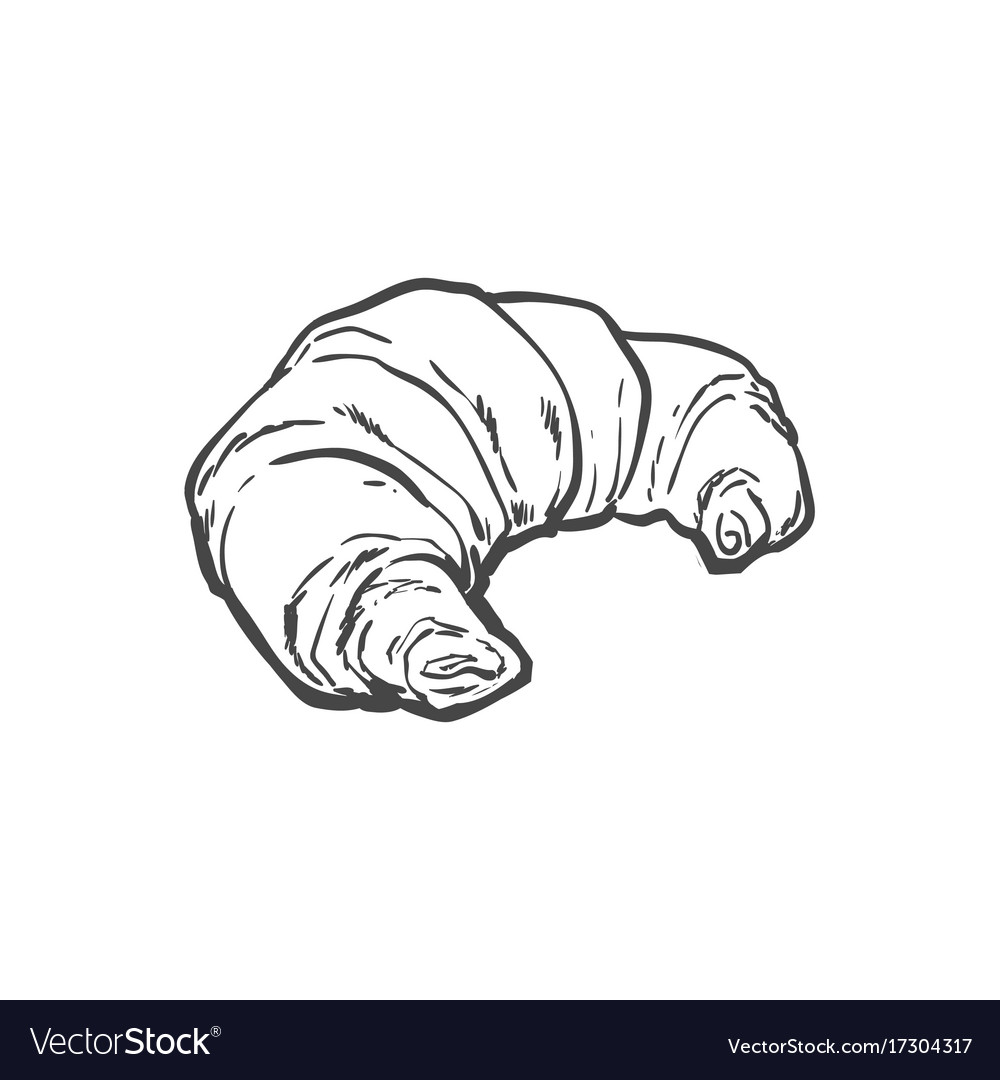 Sketch fresh french croissant isolated Royalty Free Vector