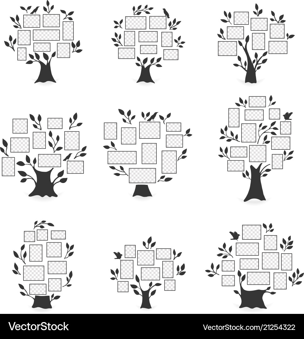 Family trees with photo frames Royalty Free Vector Image