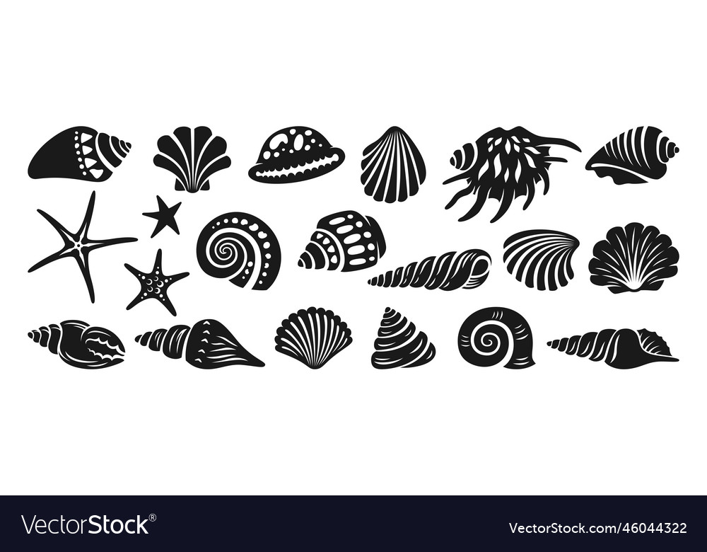 Sea shell sink engraving monochrome set ocean Vector Image