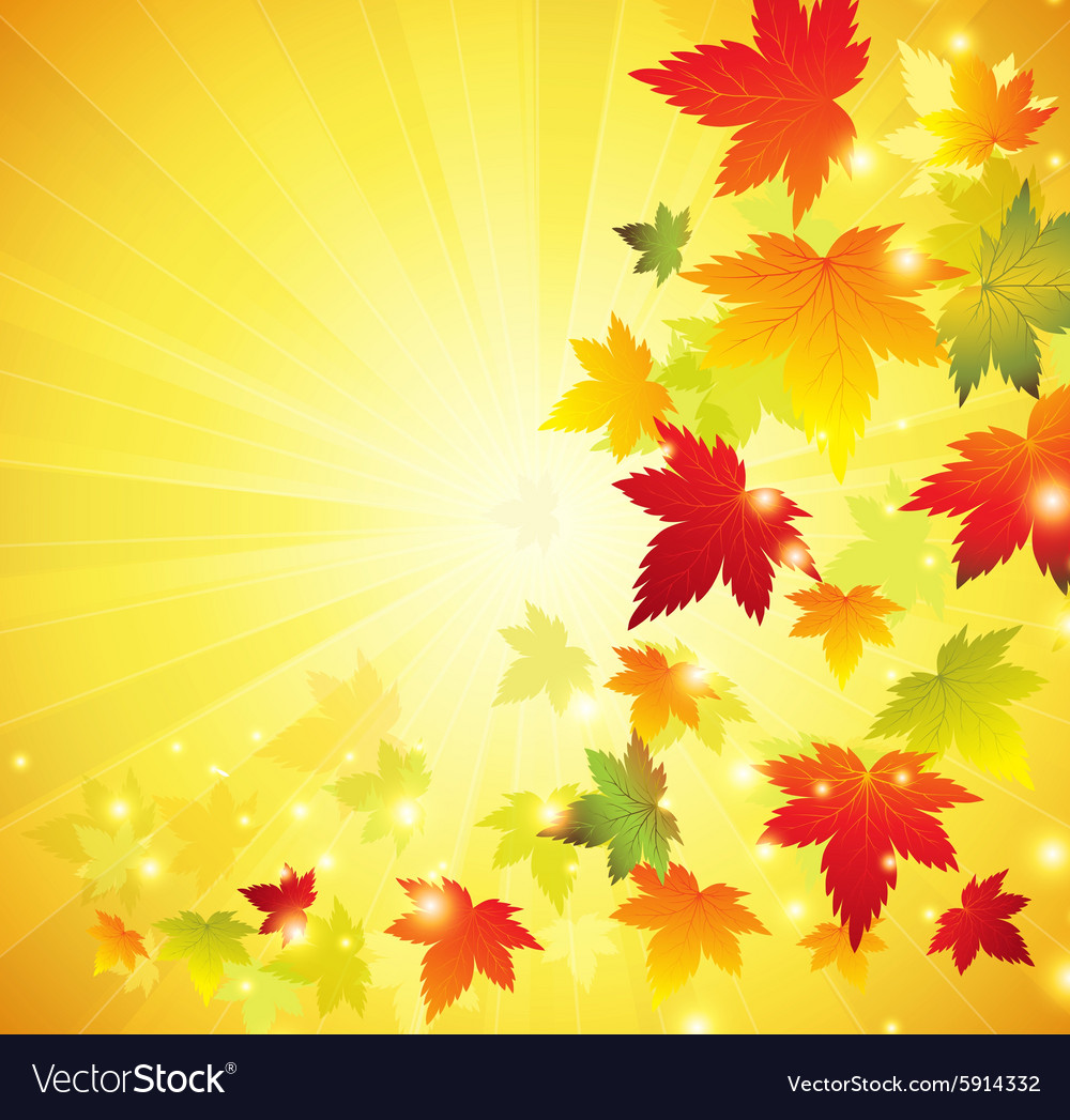 Autumn maple leaves background Royalty Free Vector Image