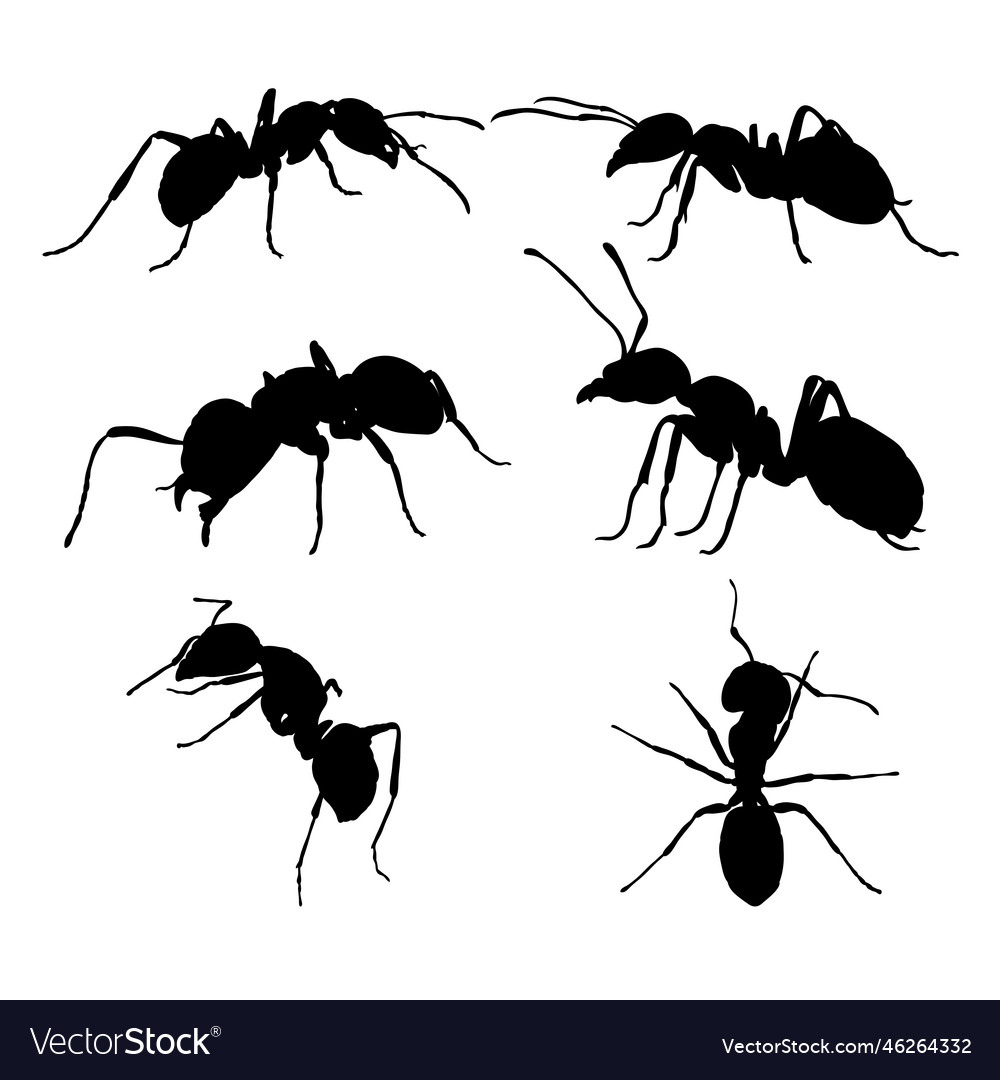 Set of silhouettes ants design Royalty Free Vector Image