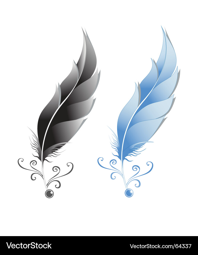 Feathers Royalty Free Vector Image - VectorStock