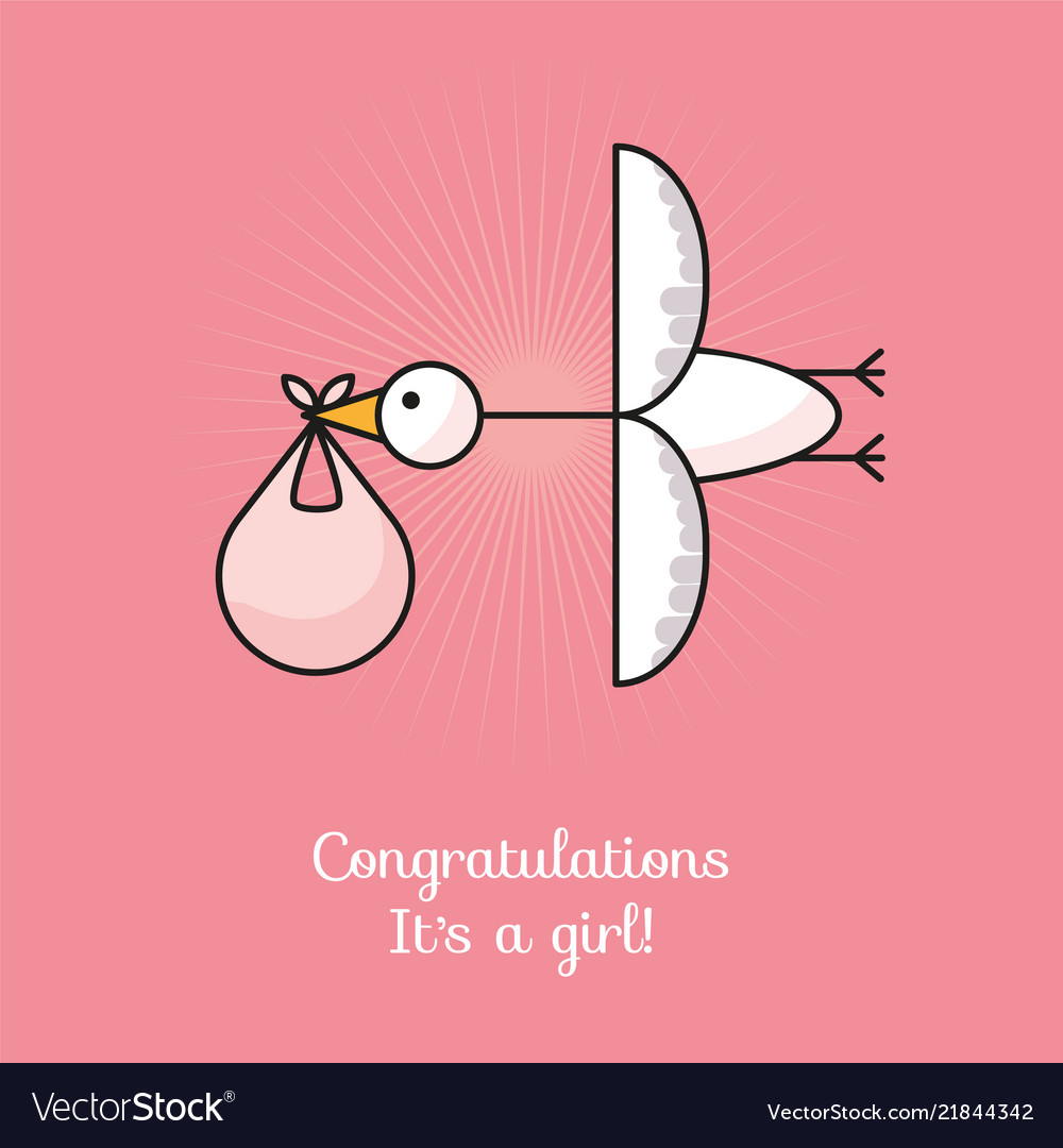 Stork with babe Royalty Free Vector Image - VectorStock