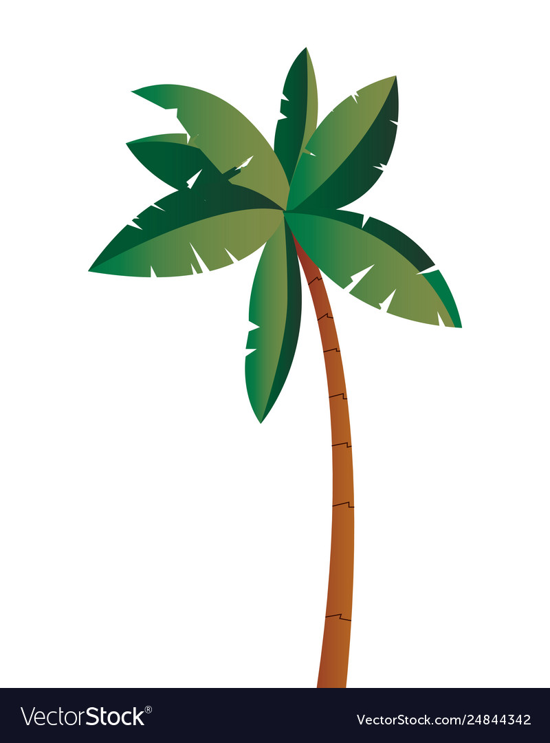 Tropical palm tree isolated design