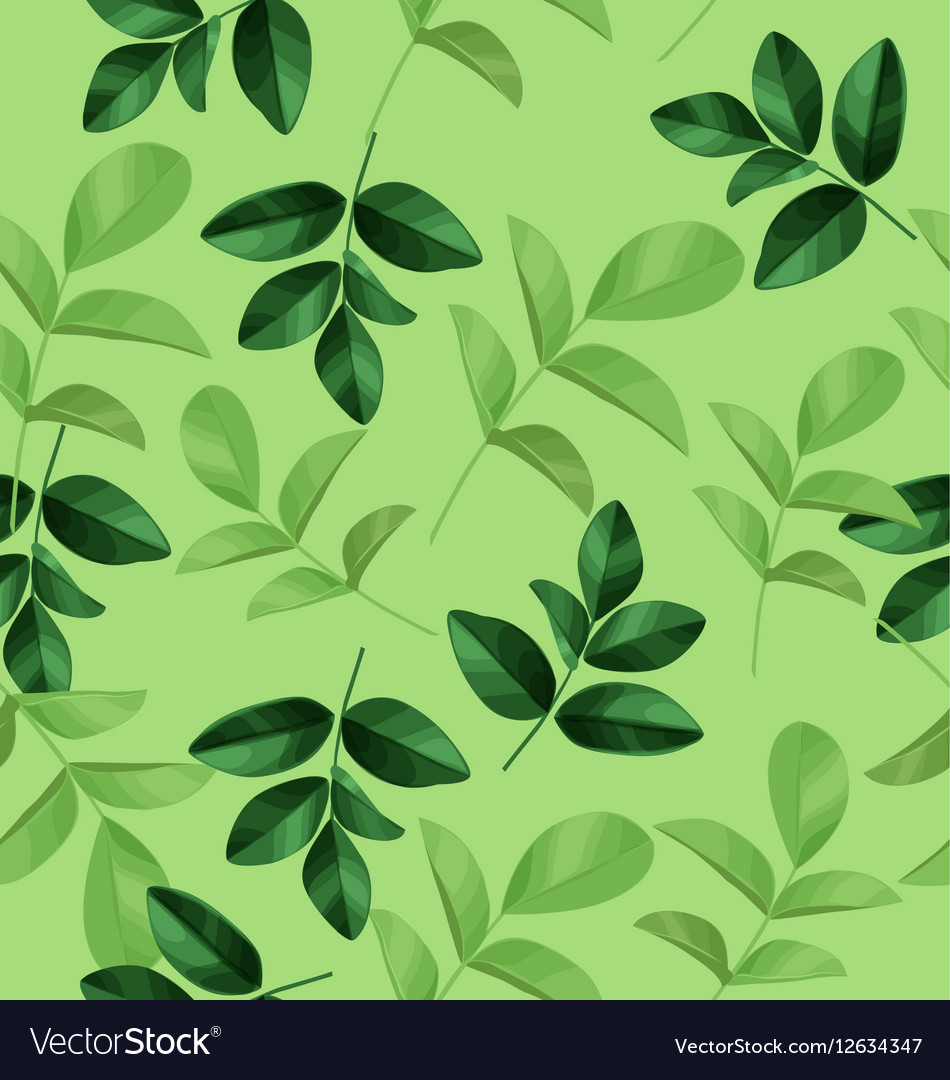 Leaf pattern background