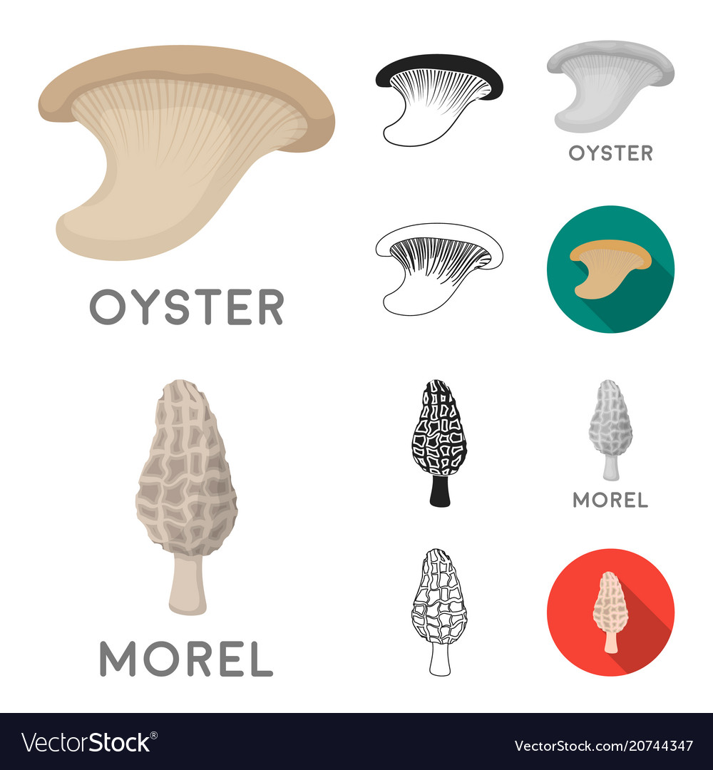 Poisonous and edible mushroom cartoonblackflat Vector Image