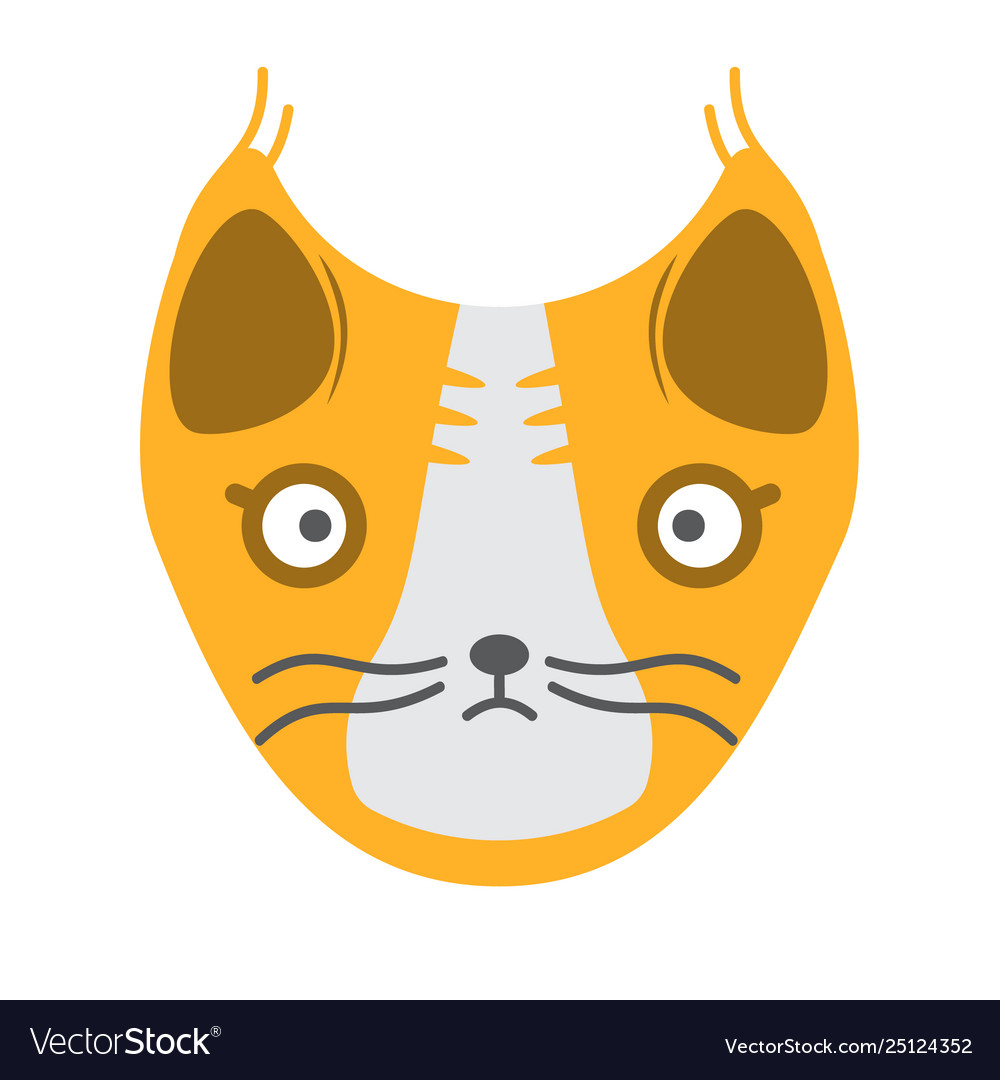 Muzzle a yellow cat on white background