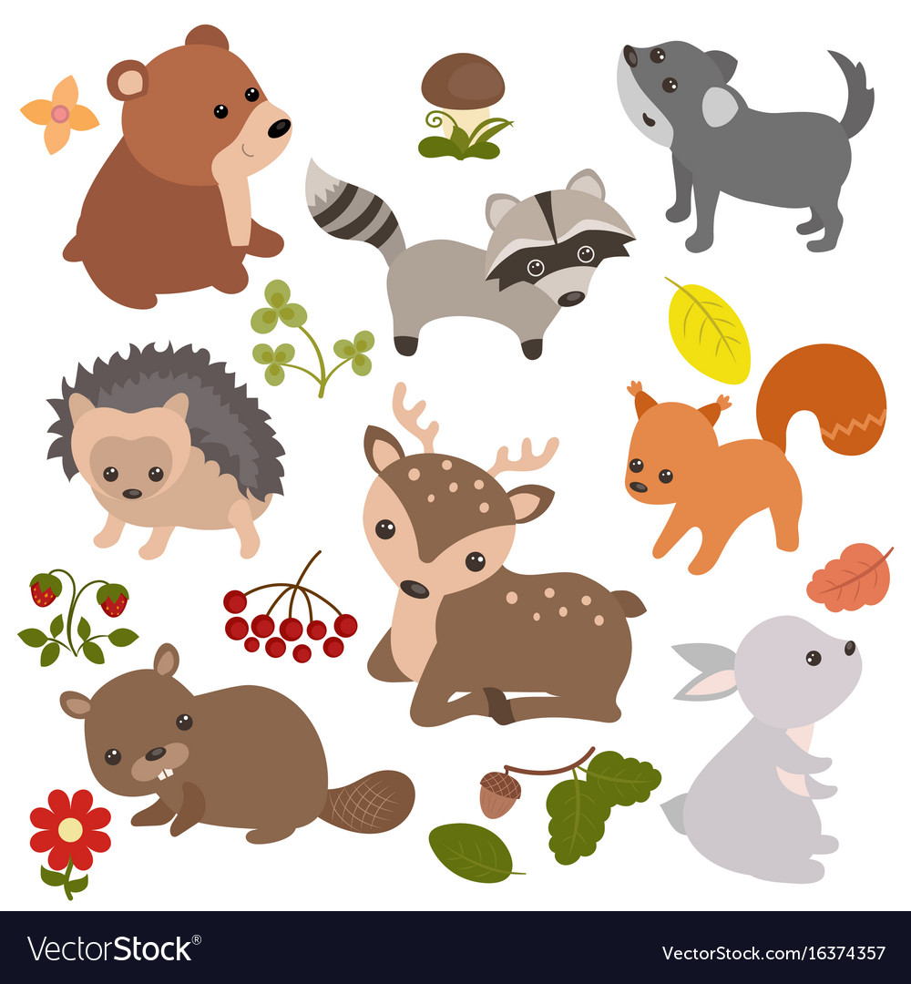Forest animals animals Royalty Free Vector Image Forest animals animals Royalty Free Vector Image