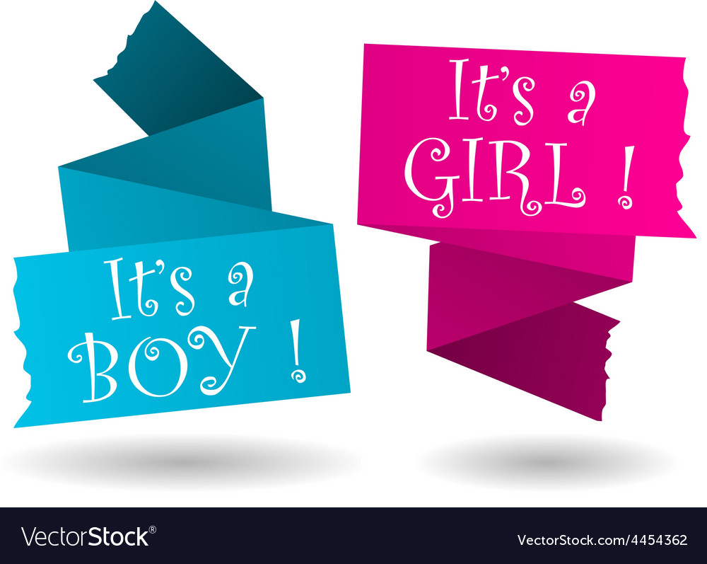 boy or girl banner