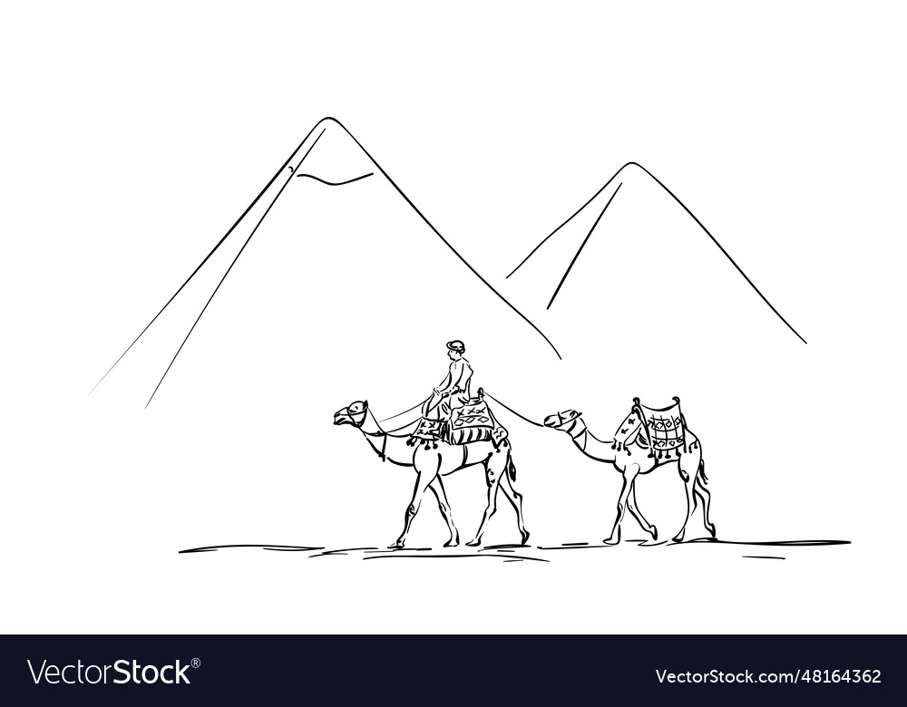 Sketch of caravan two camels and one person