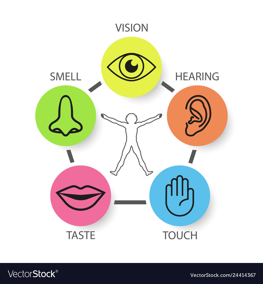 Icon Set Five Human Senses Vision Eye Smell Vector Image | The Best ...