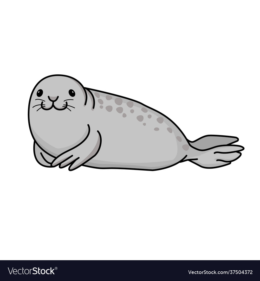 Happy gray seal lying on beach and smiling Vector Image