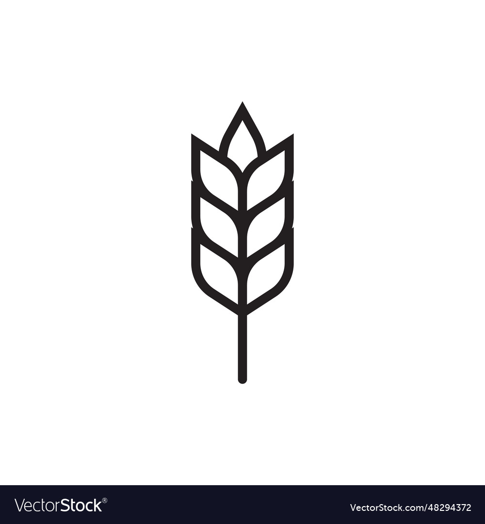 Wheat or barley outline icon grain symbol