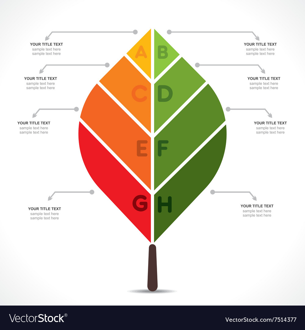 Creative leaf info-graphics design concept Vector Image