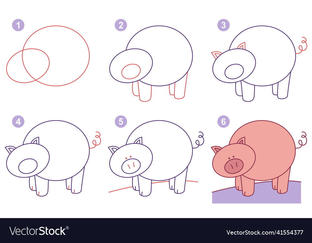 Instructions for drawing pig step by step Vector Image