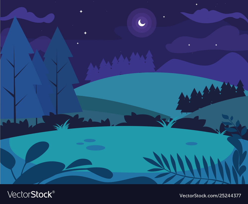 Night landscape with pines trees scene natural