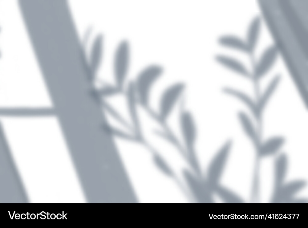 Window plant shadow composition Royalty Free Vector Image
