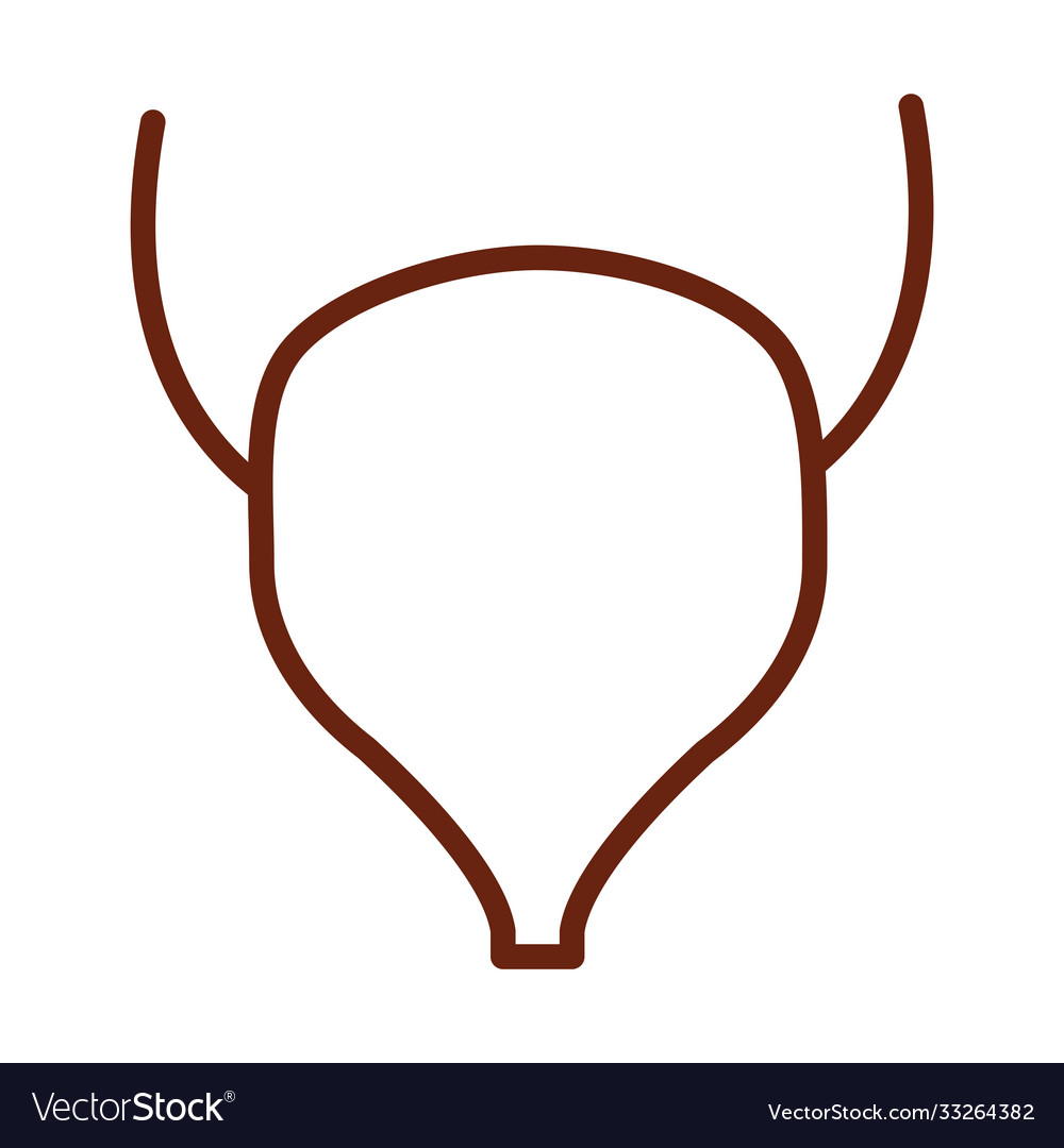 Human body bladder anatomy organ health line icon