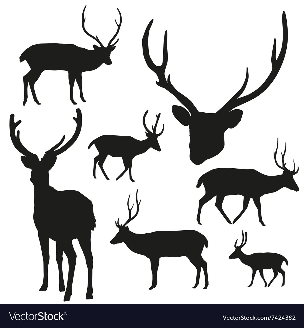 Silhouette deer on white background Royalty Free Vector