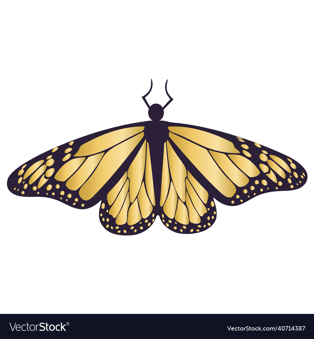 Gold butterfly isolated Royalty Free Vector Image