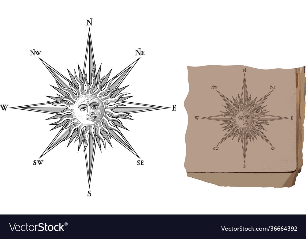 Old wind rose vector image Old wind rose