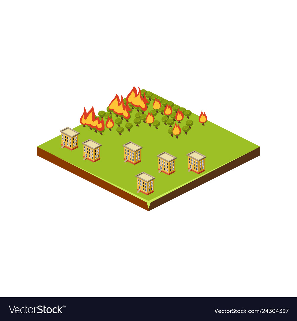 Fire in forest natural disaster icon