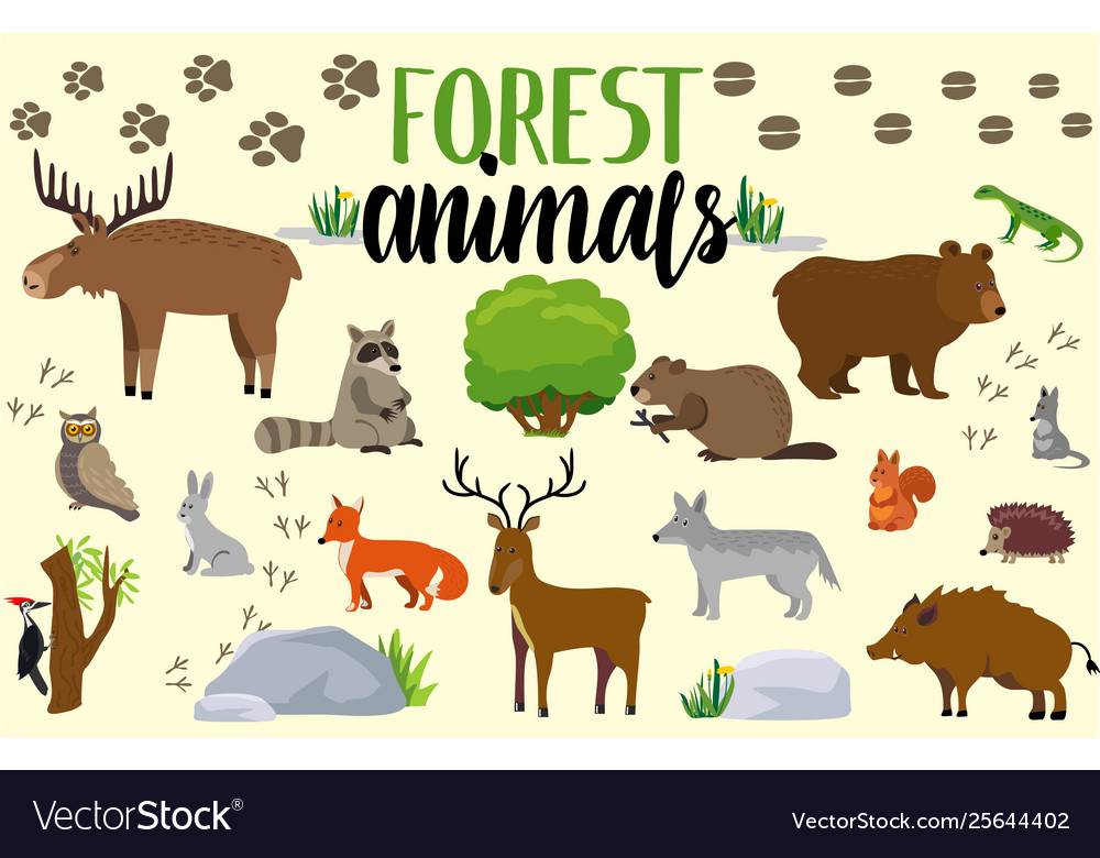 Premium Vector | Set of animals drawing for kids