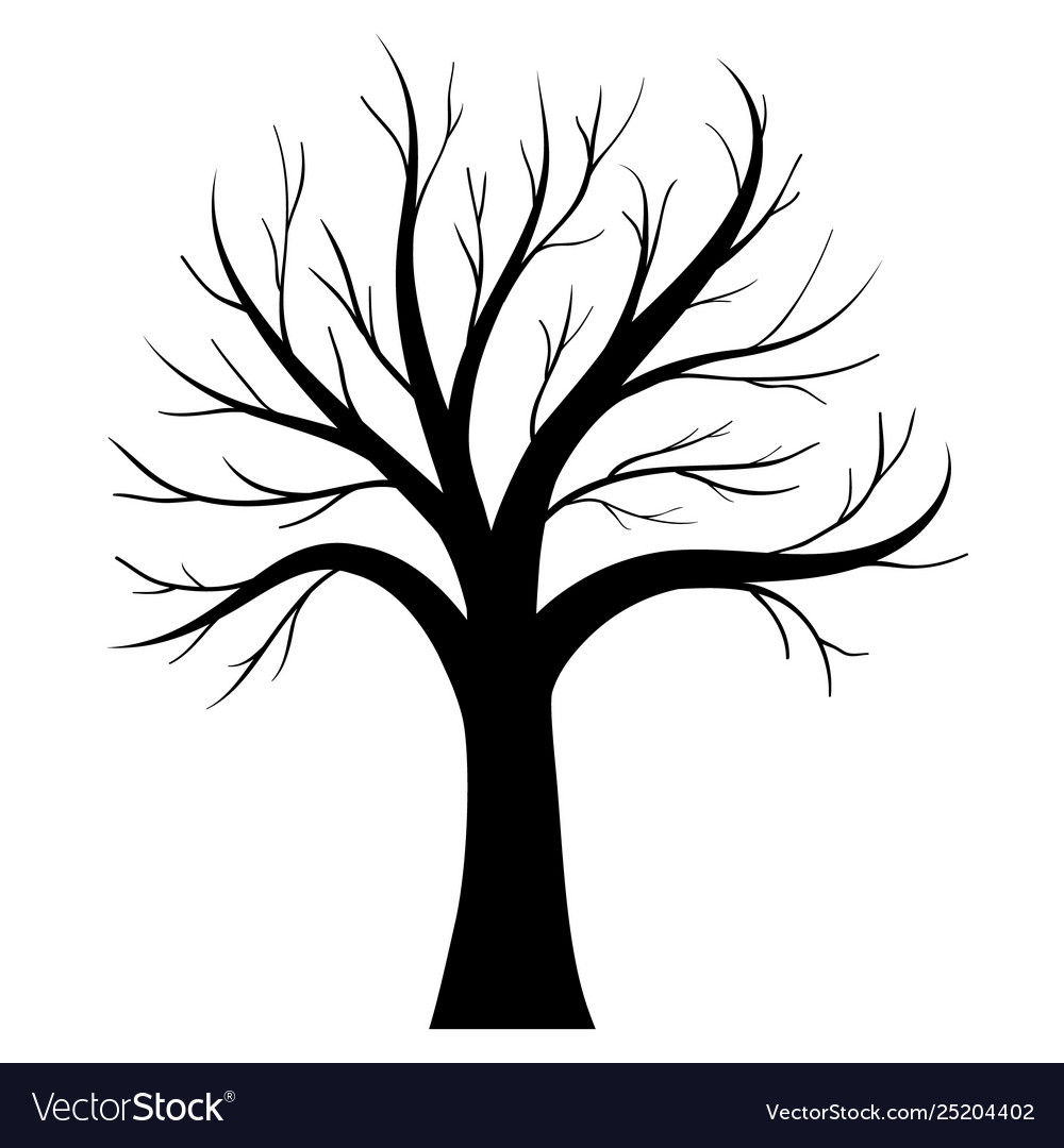 Tree silhouette Royalty Free Vector Image - VectorStock