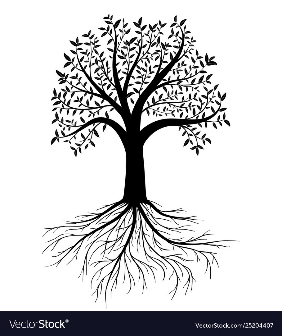 Tree with leaves and roots Royalty Free Vector Image