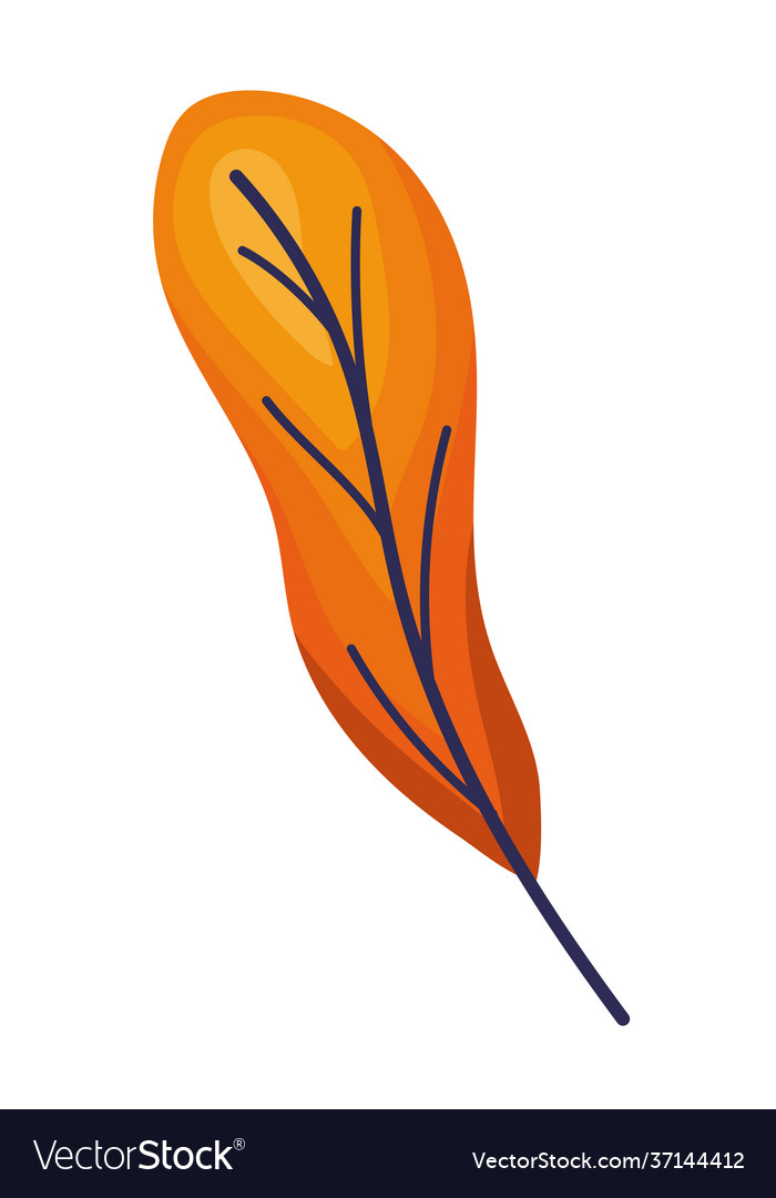 Orange leaf icon Royalty Free Vector Image - VectorStock