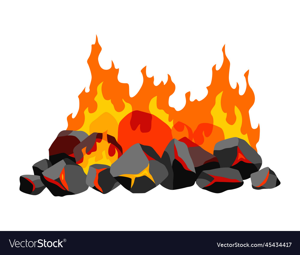 Burning coal realistic bright flame fire on coals Vector Image