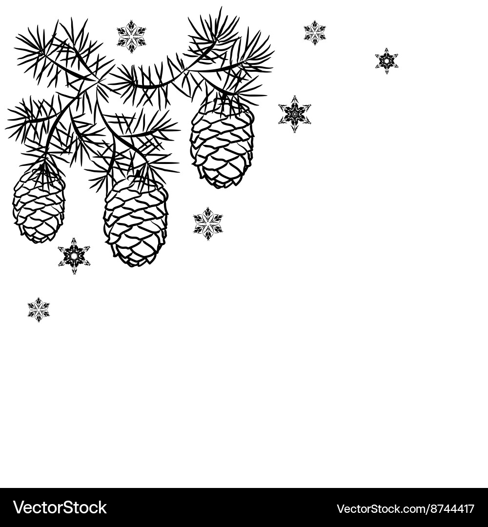 Pine branches with cones Royalty Free Vector Image