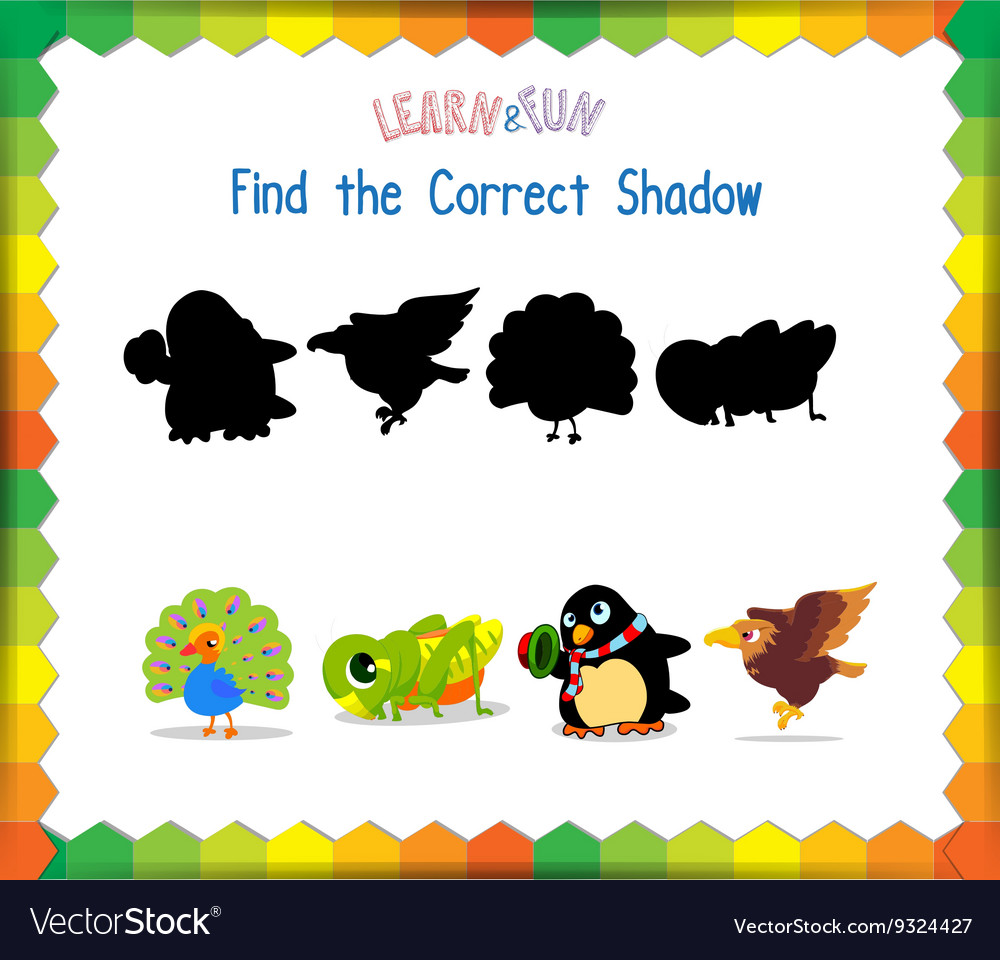 Find the correct animals shadow