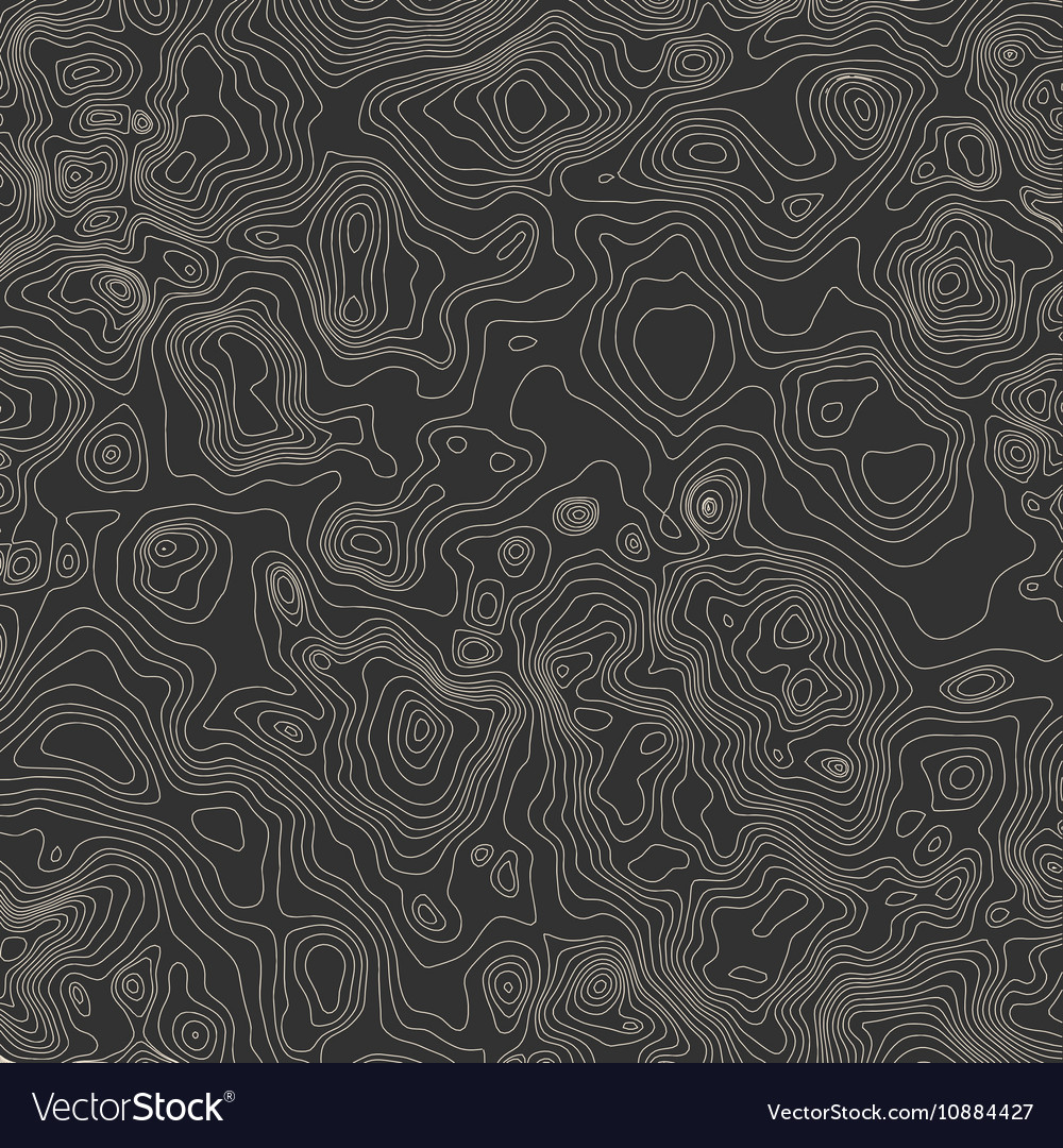 Topographic map background concept with space Vector Image