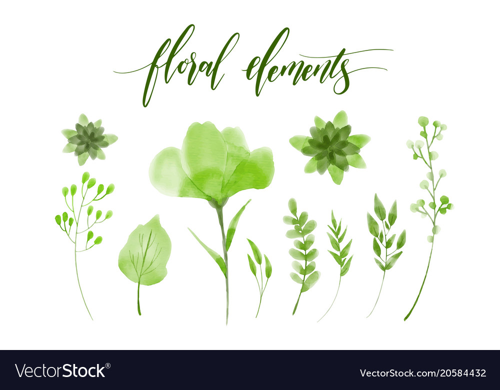 A set of floral watercolor elements for your