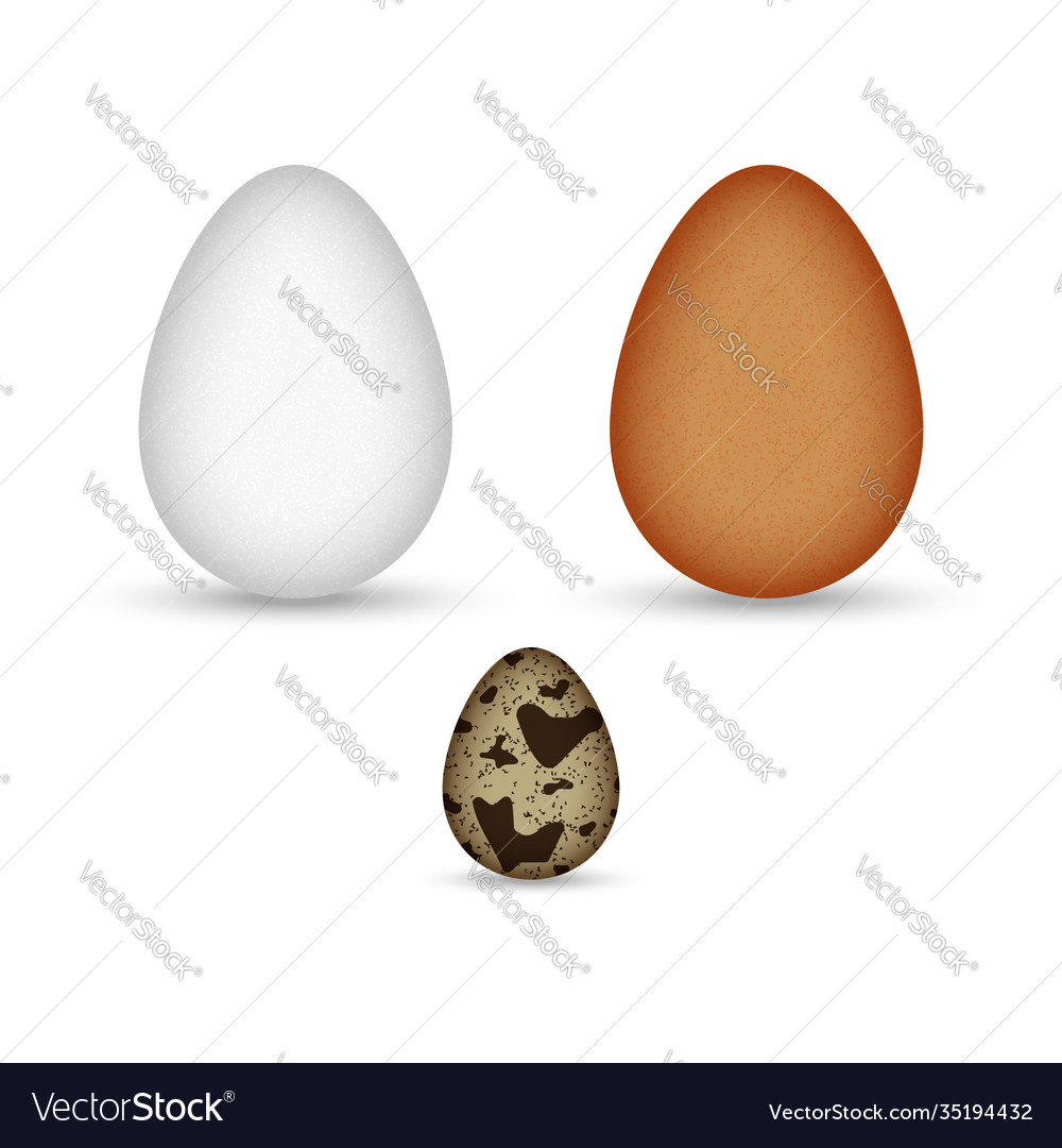 Set brown and white chicken eggs quail egg