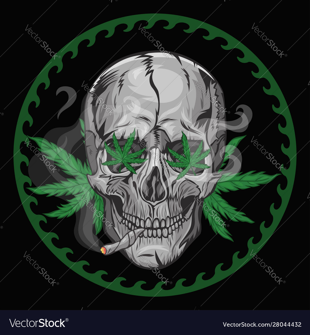 Skull smokes marijuana on a black background vector image Skull smokes marijuana on a black background